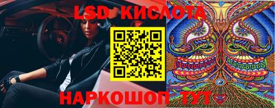 прущие грибы Можайск