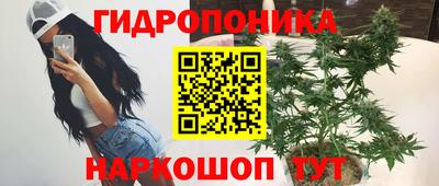 стафф Моздок