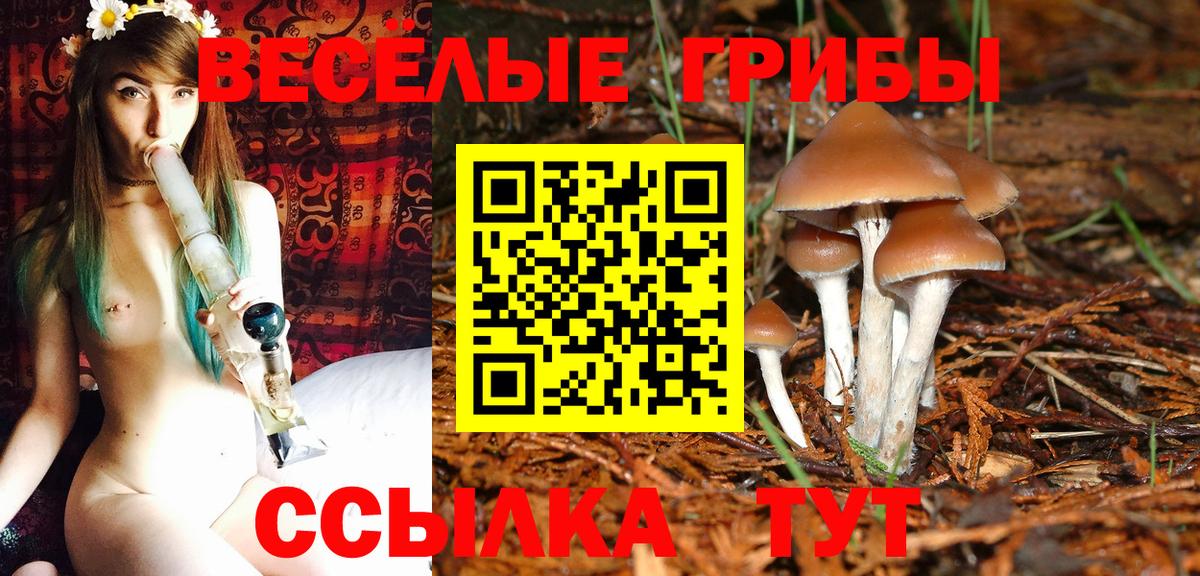 Калининград  Галлюциногенные грибы Psilocybine cubensis  закладка  Вход с VPN 
