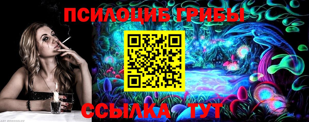 Галлюциногенные грибы GOLDEN TEACHER Калининград