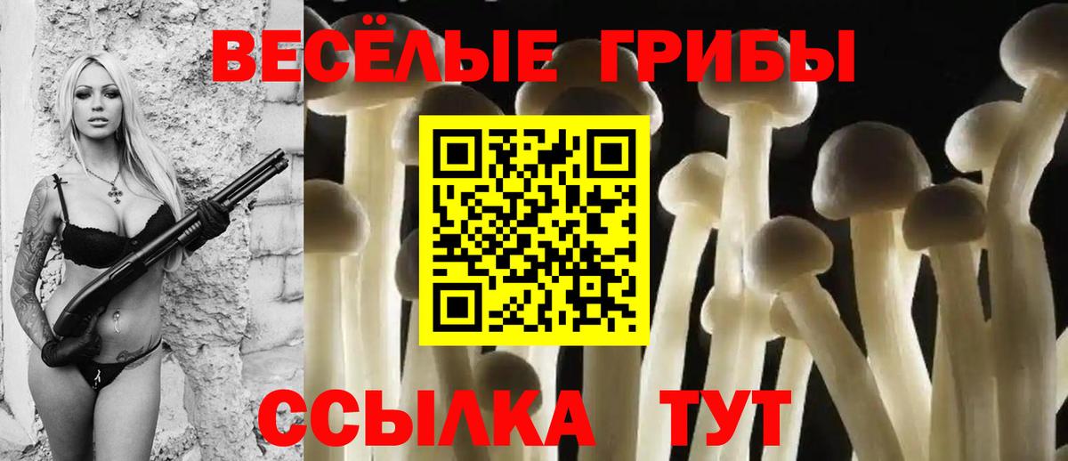 Галлюциногенные грибы мухоморы  Калининград 